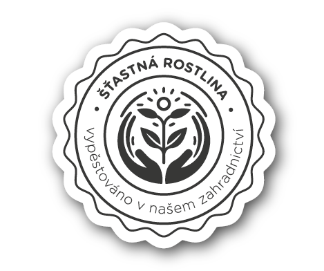 Stastna-rostlia